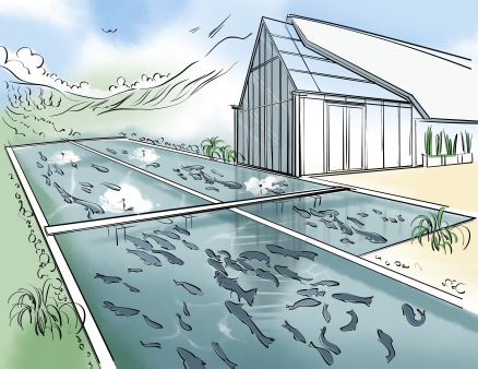 AGIOT connected farming